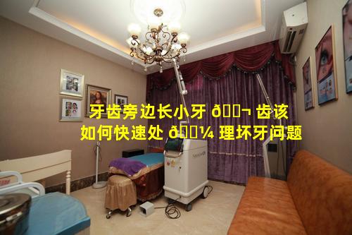 牙齿旁边长小牙 🐬 齿该如何快速处 🐼 理坏牙问题